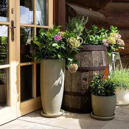 Szálloda Chocholowy Dwor