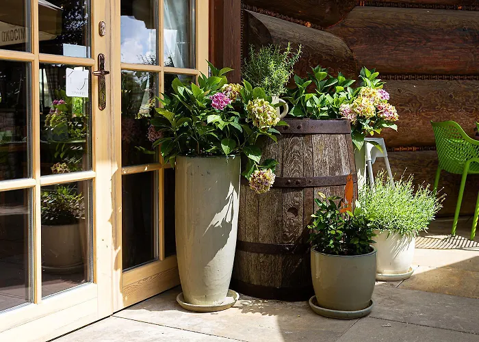 מלון Chocholowy Dwor