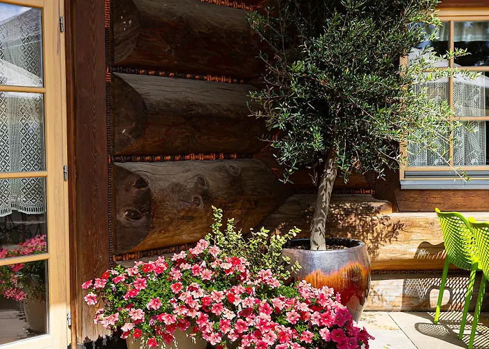 מלון Chocholowy Dwor 3*